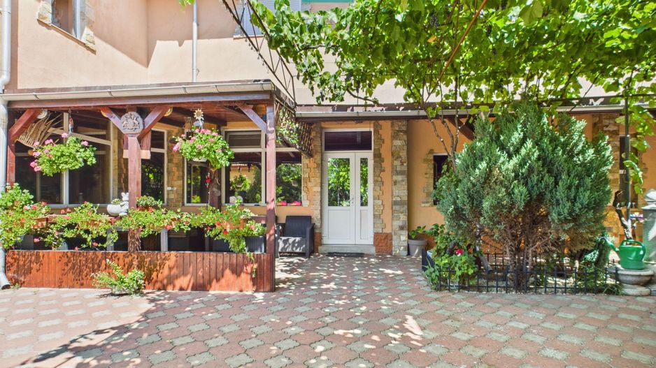 Pensiune la Orțișoara - Poză 48