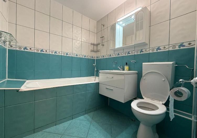 Inchiriere apartament 4 camere | Piata Victoriei - Titulescu - Poză 8