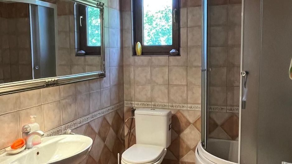 Casă elegantă, spațioasă, ideală pentru familie – Sanmihaiu Roman - Poză 6