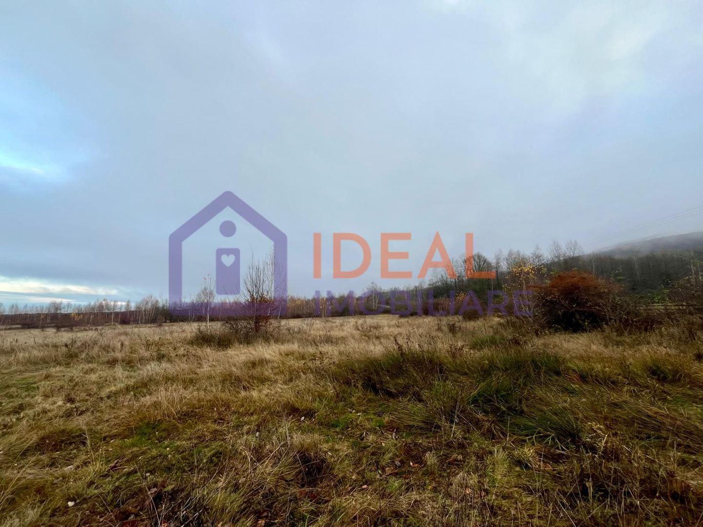 Teren extravilan 6.500 mp – două căi de acces, Cârțișoara - Poză 3