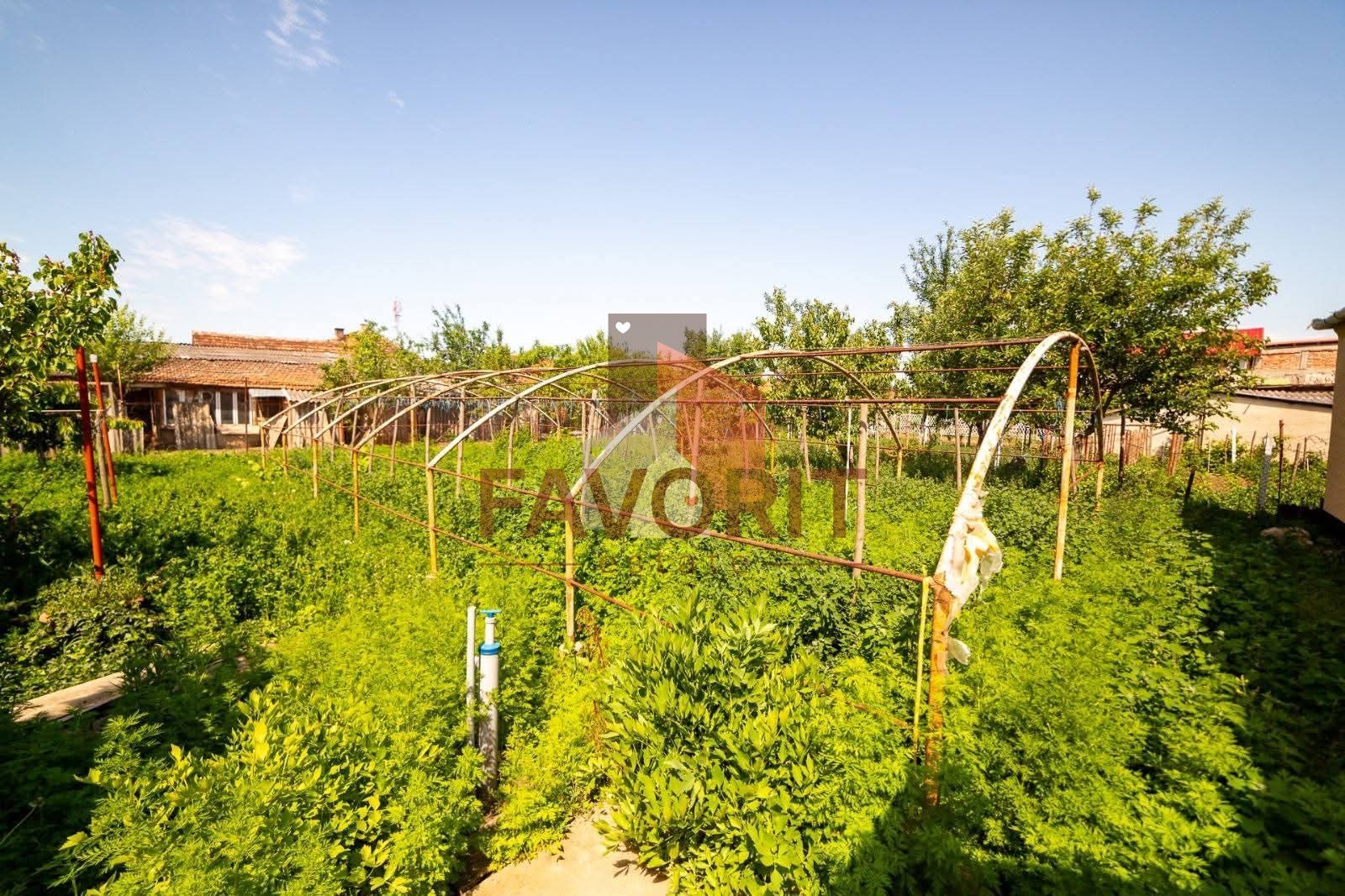 EXCLUSIVITATE – Comision 0% | Casa spatioasa | Santana - Arad - Poză 13