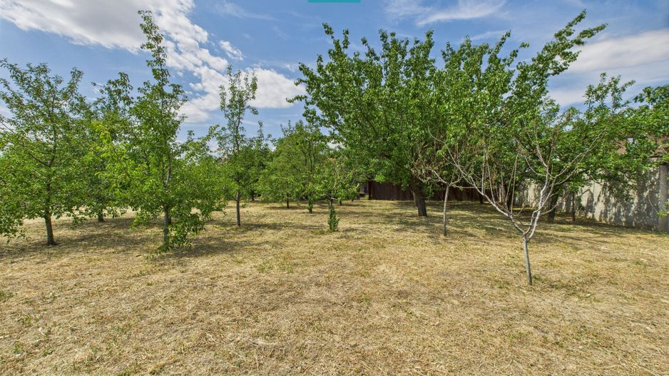 Casă, Com.Iratoșu.  Jud.Arad - Poză 6