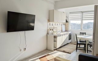 AP 2 CAM NOU TUDOR OANCEA TATARASI - Poză 7