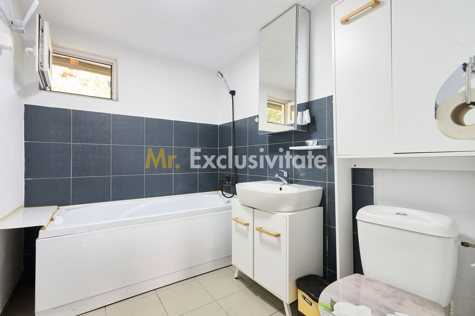 Doua CASE in aceeasi curte–BABANA, ARGEȘ | 1.485 MP TEREN - Poză 9