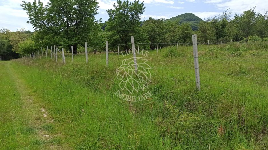 Teren 1000mp+cota drum-ideal cabana/investitie-panorama-Valea Rusului - Poză 3