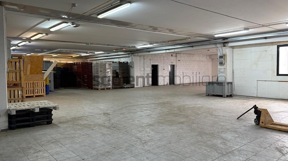 Sapient | Hală situata în com. Borș - Poză 7