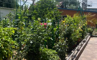 Vila S+P+1+M Lapus, str Paunitei - Poză 32