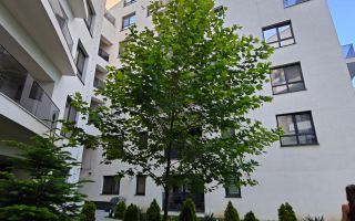 De închiriat: apartament 2 camere - spațios - cochet - Timpuri Noi - Poză 20