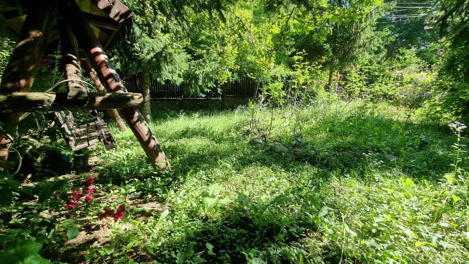 Casa de la marginea padurii! - Poză 7