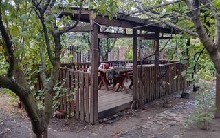 Casă Spațioasă P+1+M, 265 mp Utili, 1000 mp Teren – Toate Utilitățile, Vânători - Poză 18