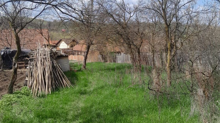 Teren de vanzare in Vaidei - Poză 4