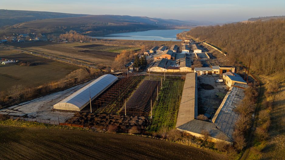 Fosta Ferma a Partidului de la Horgesti - de vanzare - Poză 3