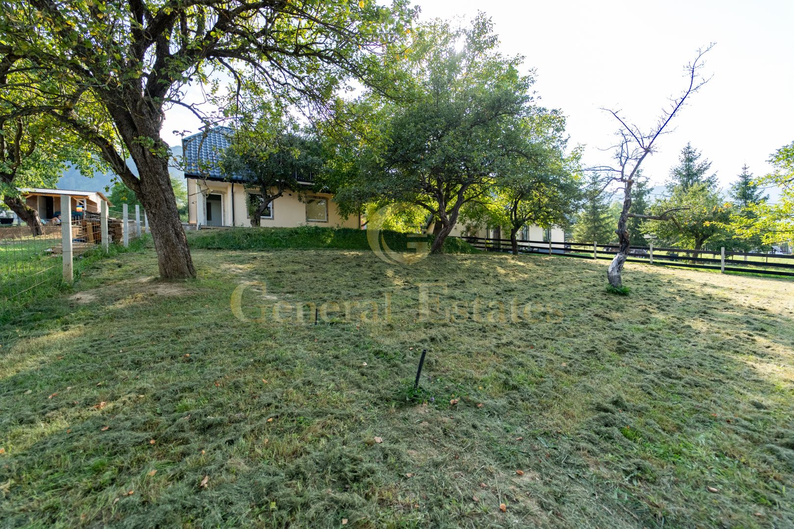 Casa de vacanță din Tohănița – locul unde muntele întâlnește liniștea - Poză 26