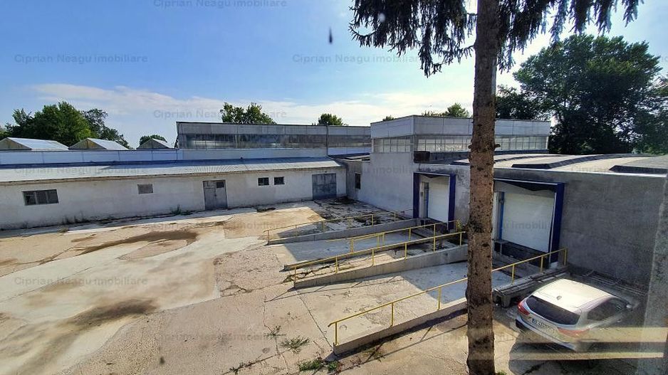 Hala De Inchiriat, zona Depozitelor Pitesti - Poză 13