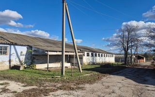 Teren 74 ari + clădire 1.765 mp– Răuțel, Fălești - Poză 7