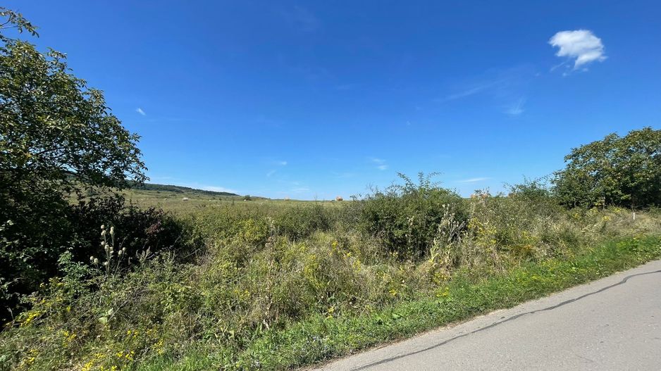 Teren Intravilan | Padureni | Investiție | 27000 mp - Poză 4