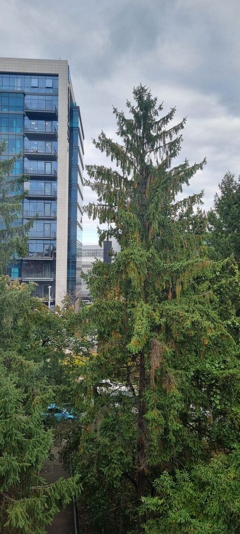 Construcție unică, rezistentă și sigură –  3 camere lângă AFI Cotroceni - Poză 18