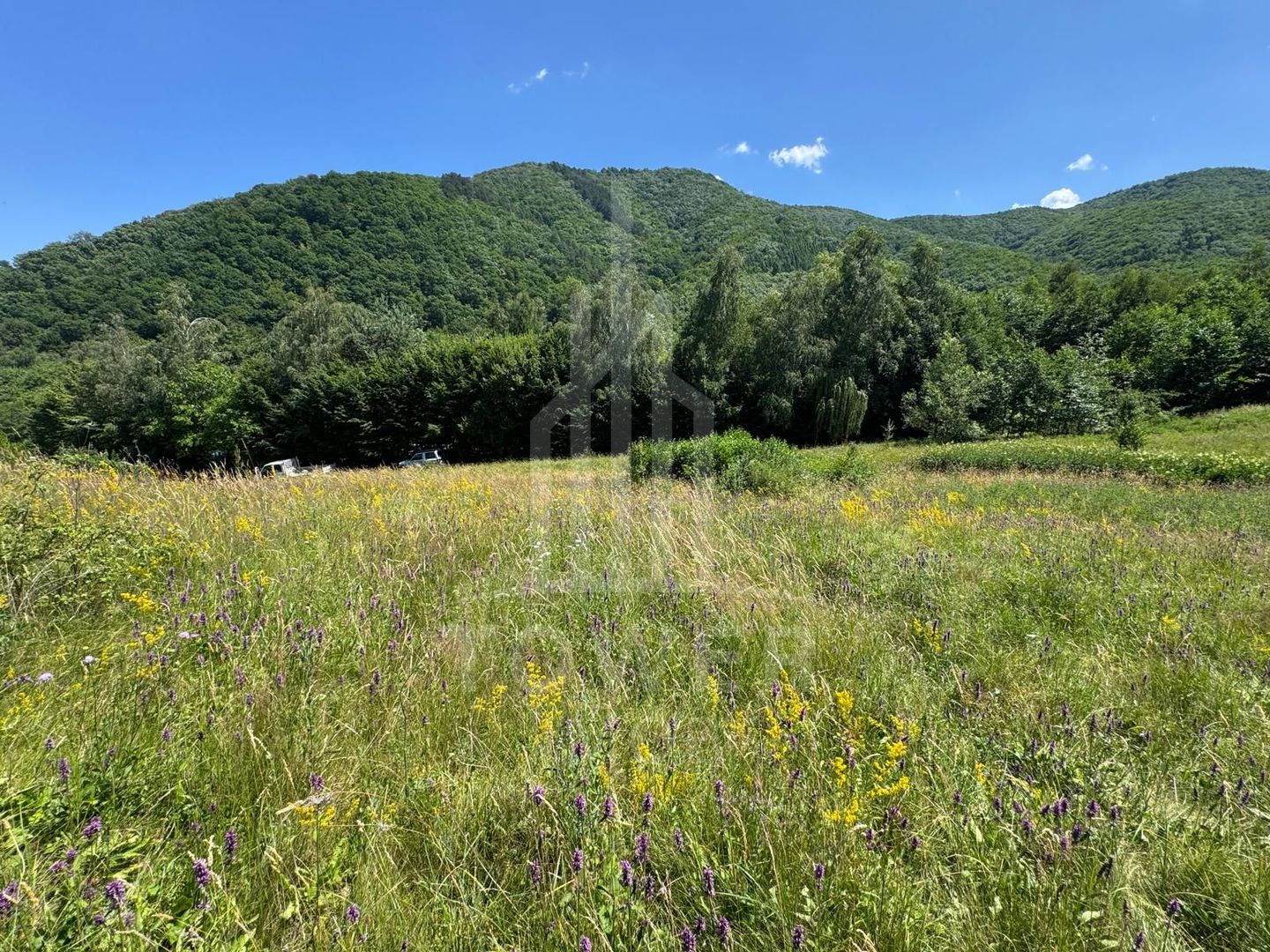 Teren intravilan 4600mp - 55 EUR/mp - EXCLUSIVITATE CISNADIOARA - COMISION 0% - Poză 11