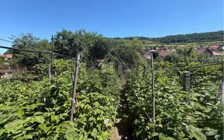 Casă 4 camere, Mediaș - Poză 13