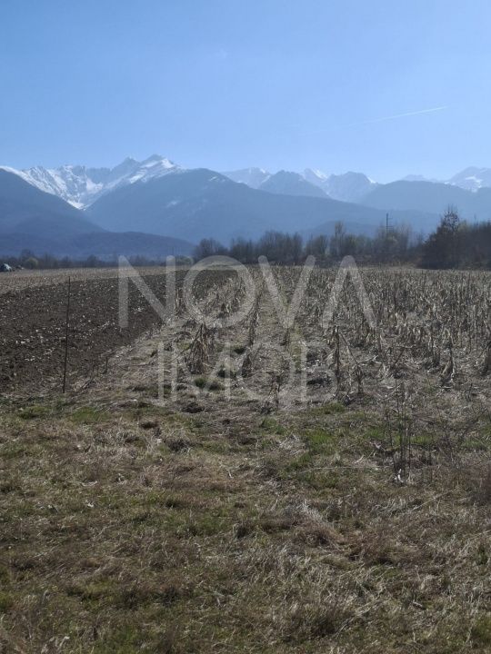 Teren extravilan de vanzare - Arpasul de Sus - Poză 3