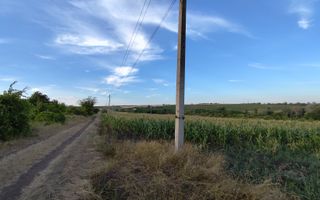Teren cu destinaţie grădină com. Budești, Mun. Chişinău - Poză 2