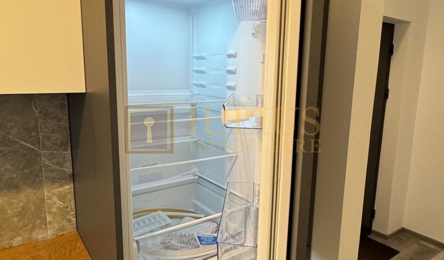 Zona Torontalului, 2 camere, prima inchiriere - Poză 4