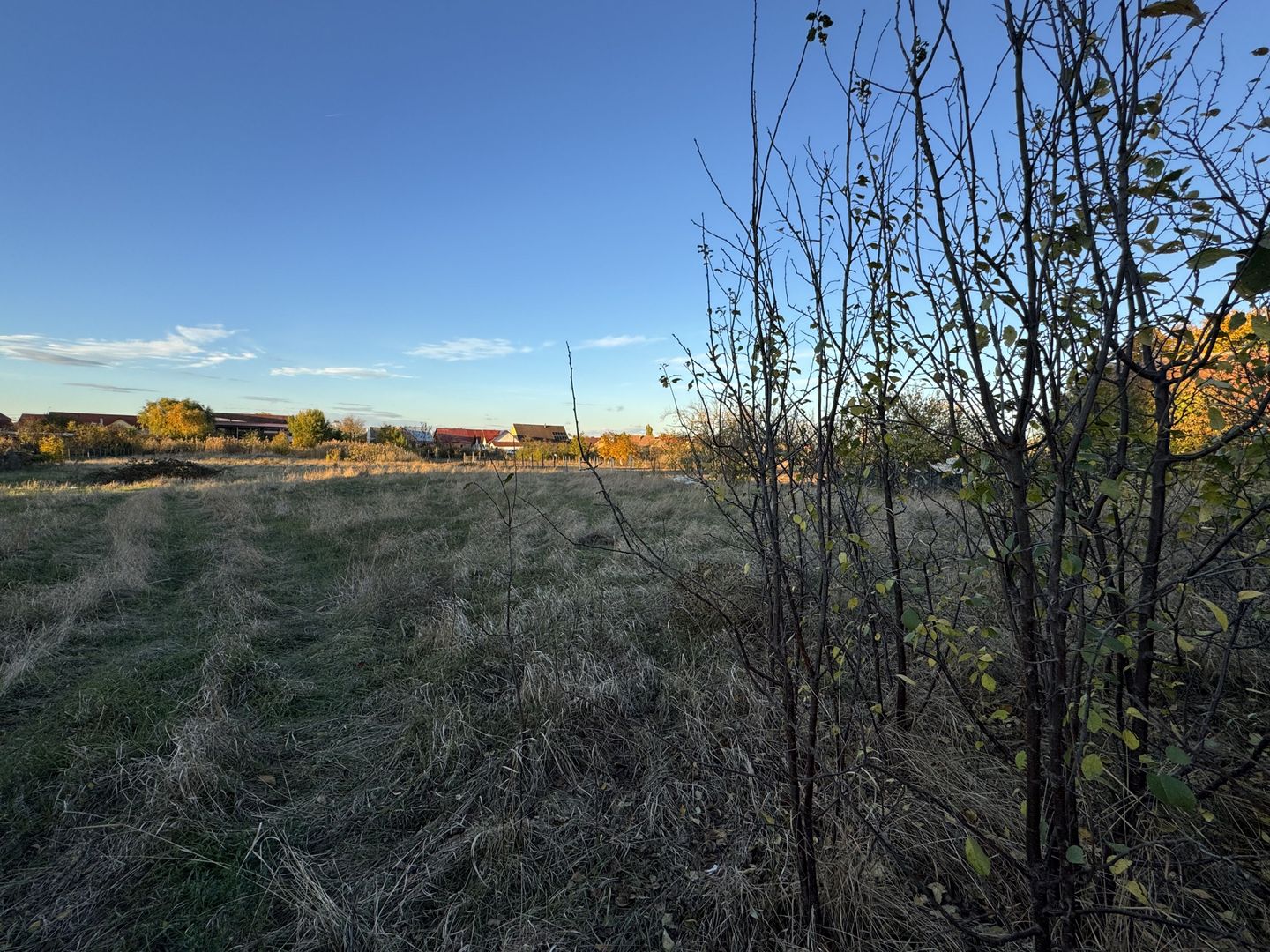 Teren Intravilan in Zona Semicentrala, Becicherecu Mic,2118 mp,Fs. 18m - Poză 3