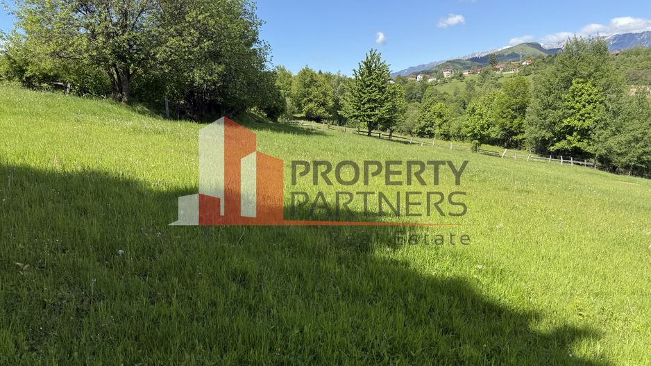 Teren Bran Sohodol 6700 mp - Poză 9