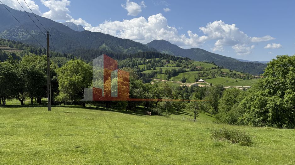 Teren cu priveliște spectaculoasă în Bran – Sohodol - Poză 11