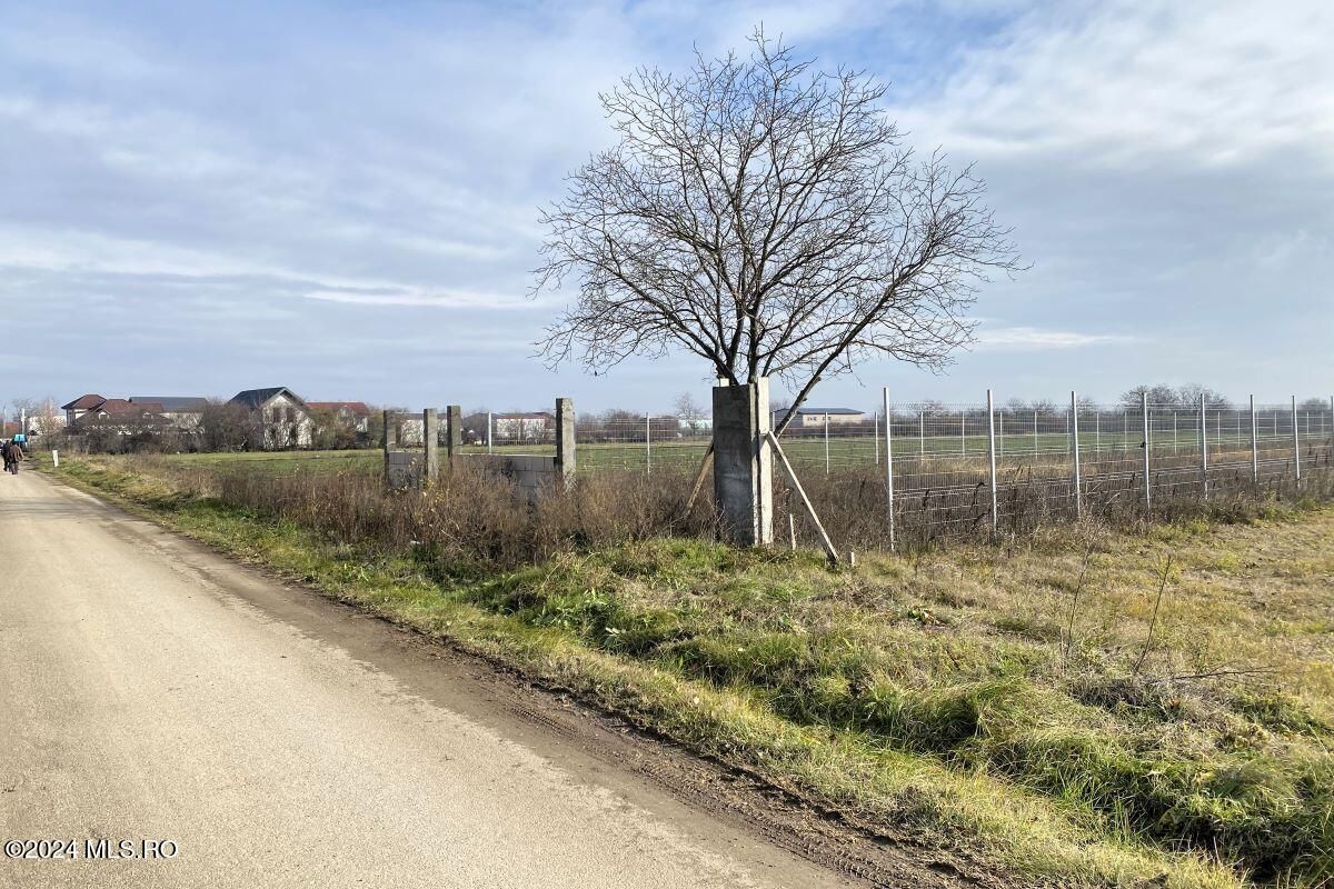 Afumati - Str. Iasomiei, 2409 MP, stradal, intravilan, deschidere 12 m - Poză 1
