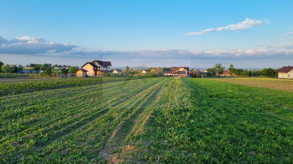 Teren intravila Ilișești - Poză 5