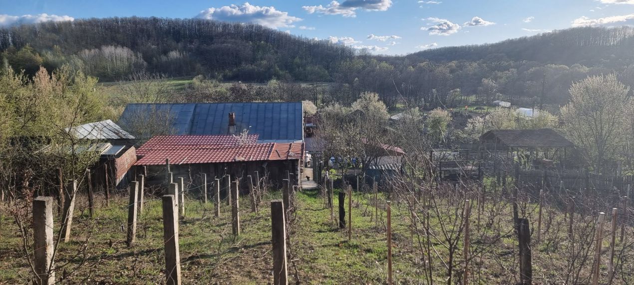 Casă P+M cu 1.558 mp teren, livadă și garaj | Barza, Gorj Comision 0%  - Poză 18