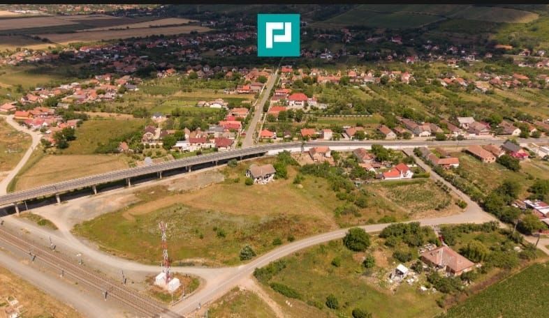 Teren intravilan 10.000 mp. în Pauliș - Poză 7