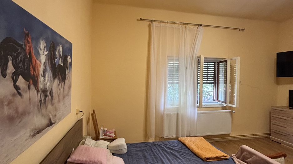 Casa cu teren și grădina zona Bogdanestilor - Poză 4