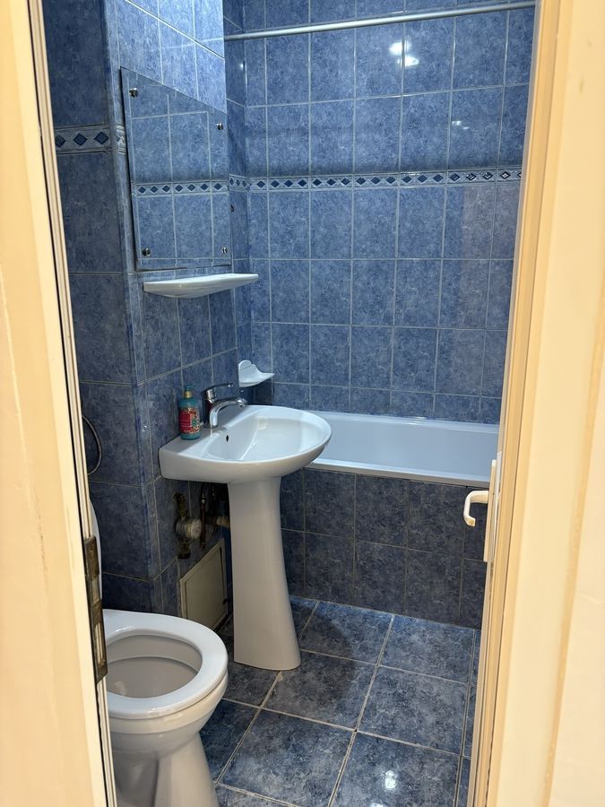 Minis, sector 3 - Poză 11