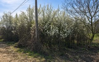 Teren intravilan, 1080 mp, Lipova - Poză 1