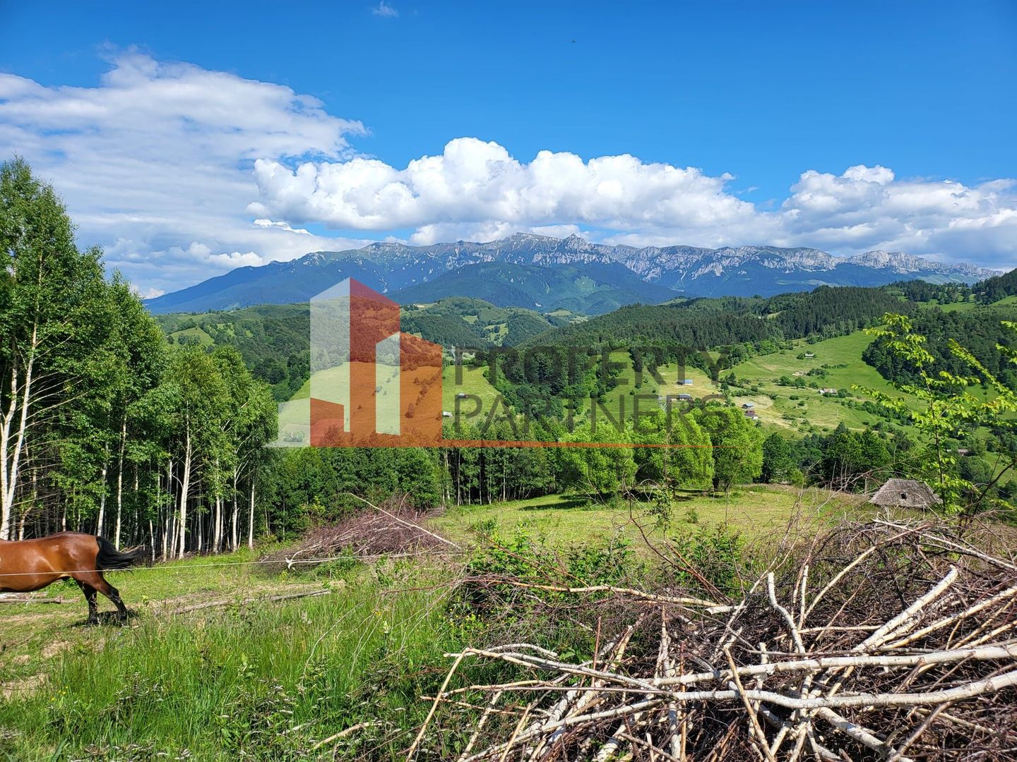 Teren Drumul Carului, Moieciu Suprafață: 29.595 mp | Intravilan - Poză 4