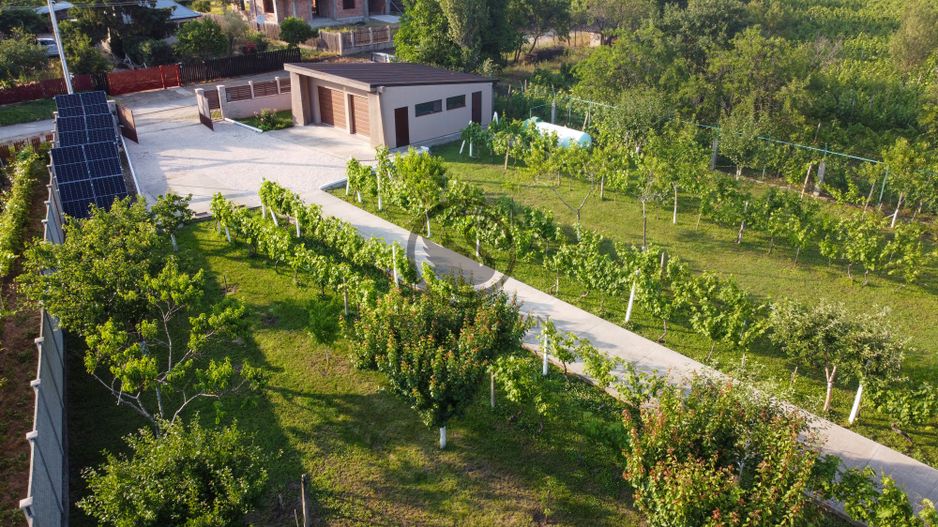 Casa cu piscina de vanzare | 3.300 mp teren | Urlati - Prahova - Poză 18
