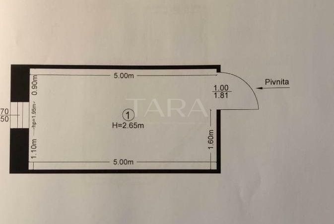 Apartament 2 camere in Vila Interbelica. Ultravcentral. UMF - Poză 12