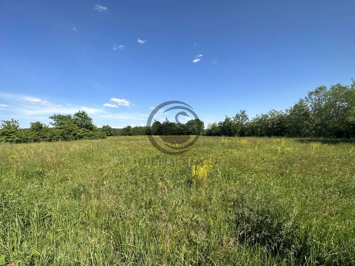 Teren intravilan de vanzare | 11.000 mp | Ghirdoveni | Comision 0% - Poză 10
