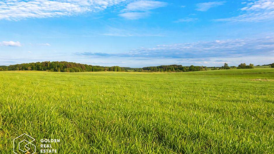 Teren extravilan, 23 400 mp, Cuvin (Ghioroc) - Poză 1