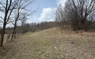 Teren 6040 mp la baza pădurii deschidere 40 ml - Poză 13