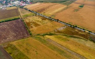 Teren de 19798mp în Zimandu Nou - Poză 10