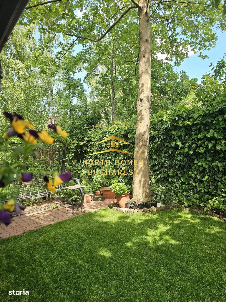 Vila 4 camere 220 mpu - 400 mp teren - Pipera / V Alecsandri - Poză 5