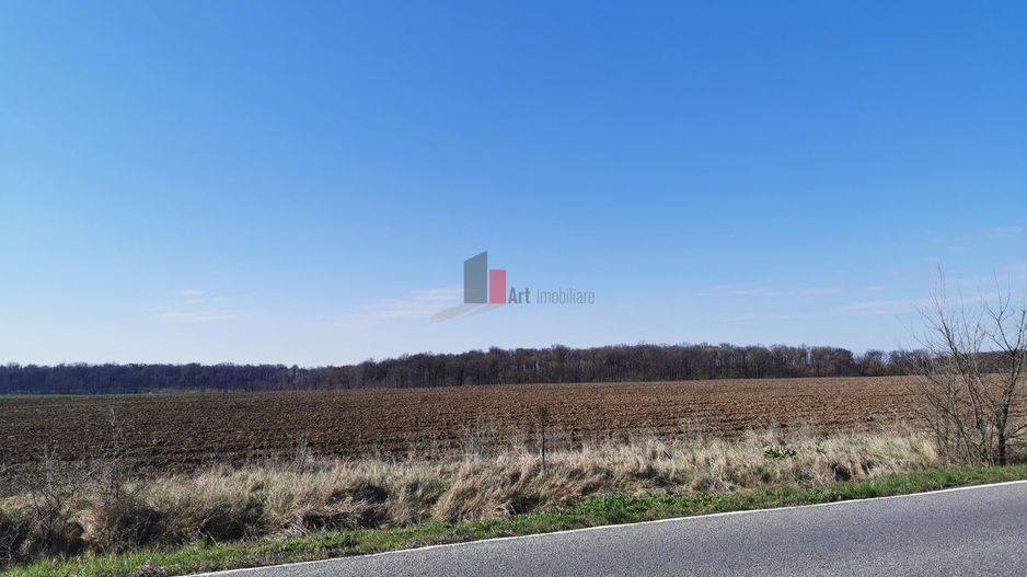 10 000 mp SNagov, langa Autostrada si Padure - Poză 1