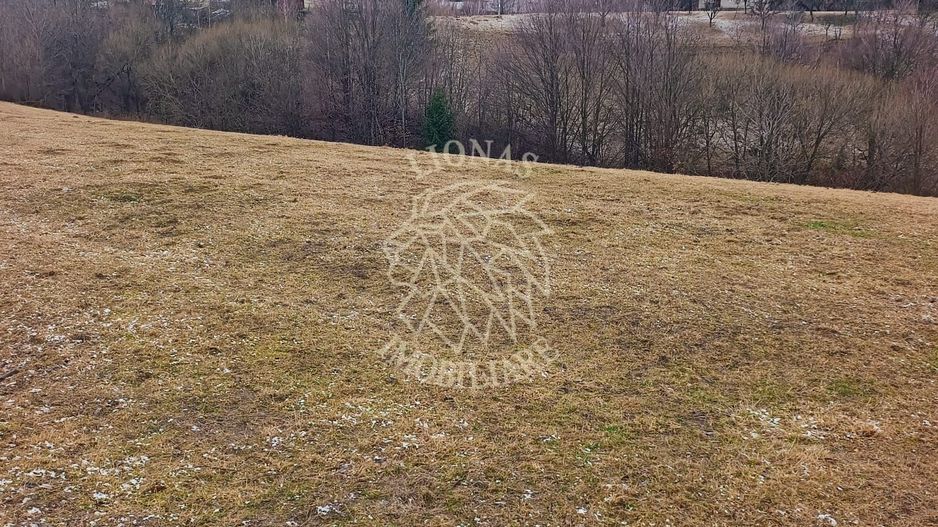 COMISION 0 TEREN TURISTIC EXTRAVILAN APROAPE DE PADURE VISAGU VLADEASA CLUJ - Poză 9