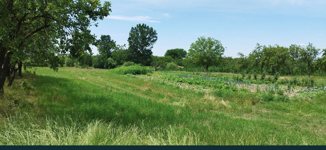 Casa si teren de vanzare - Poză 6