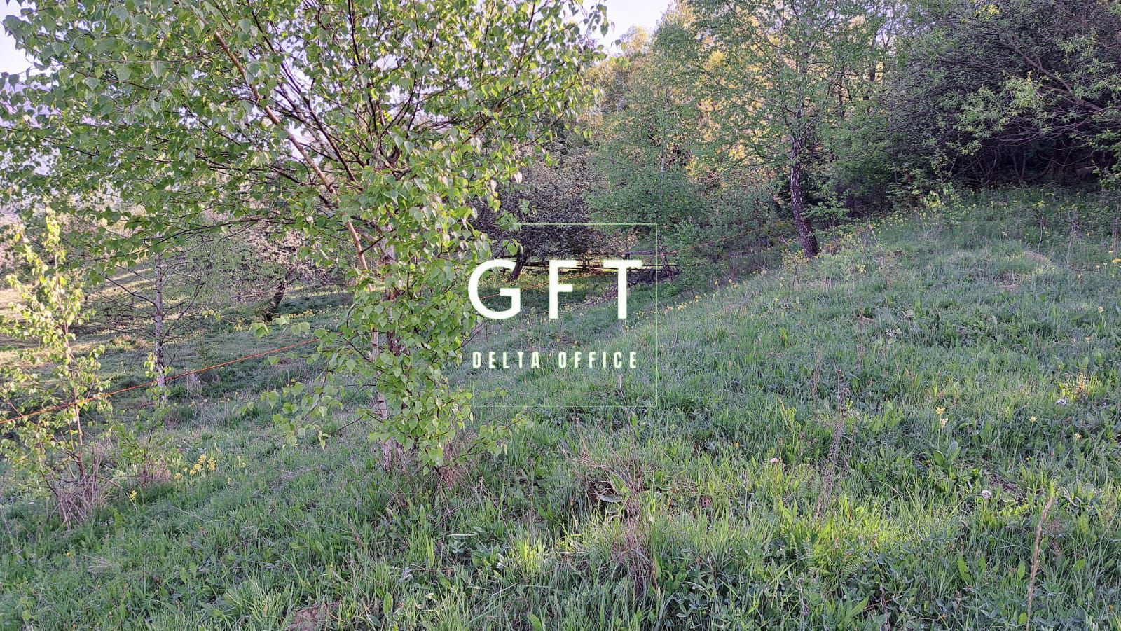 Teren extravilan de vanzare, Bistrita Bargaului- 10 minute de Colibita - Poză 17