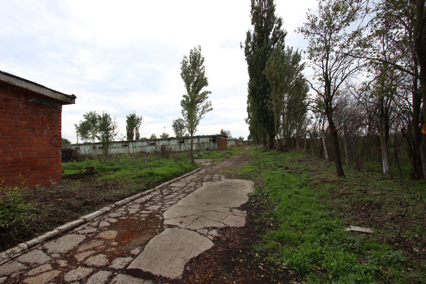 Vanzare hale Mosnita Noua-fosta Ferma 7 - Poză 42