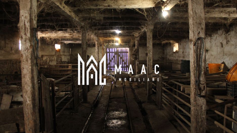 Ferma de Vânzare – Oportunitate Unică! - Poză 12